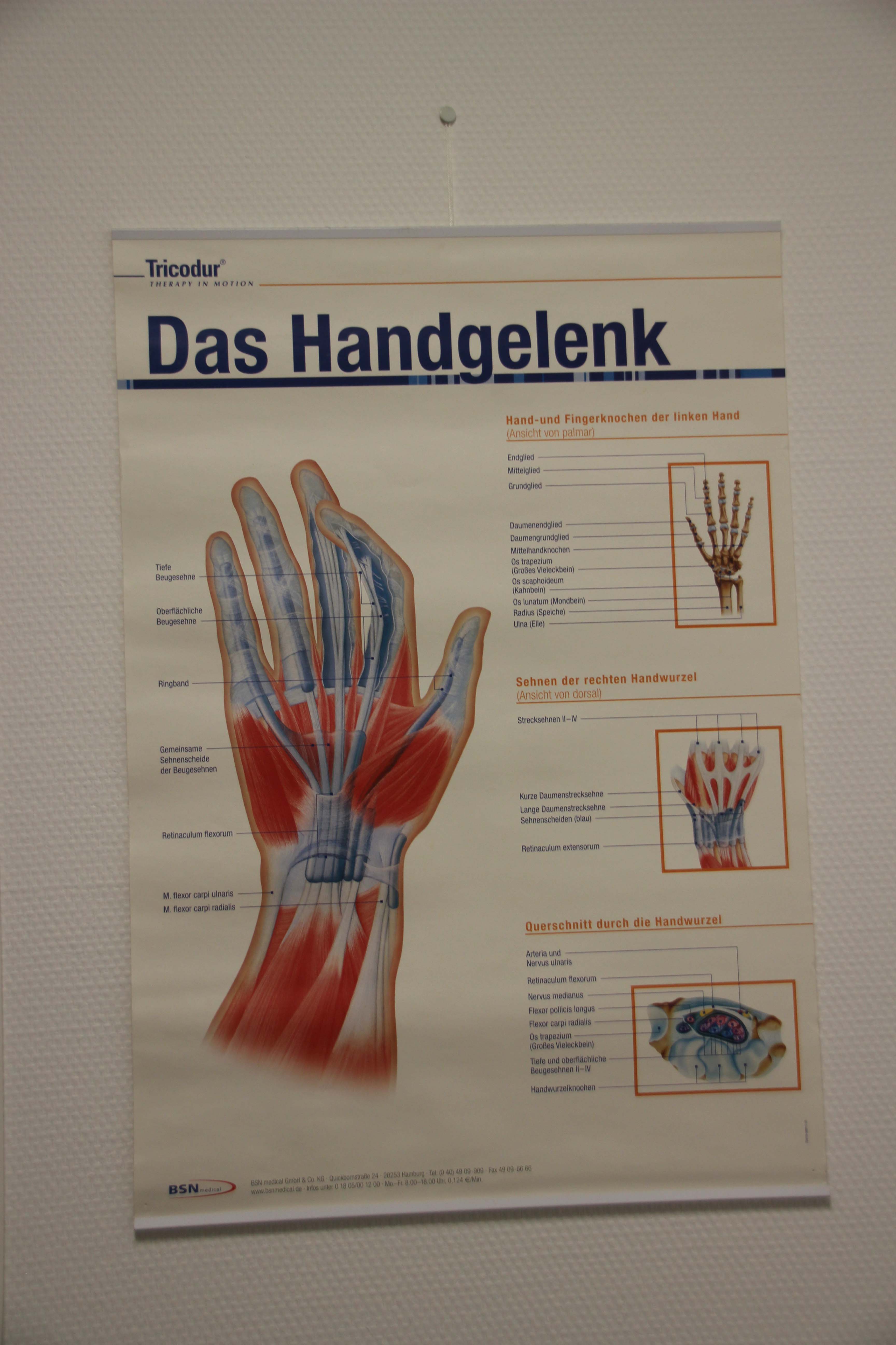 Handgelenk